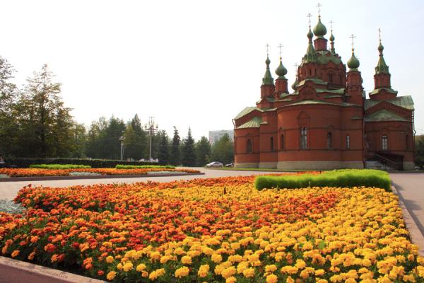 Алое поле фото