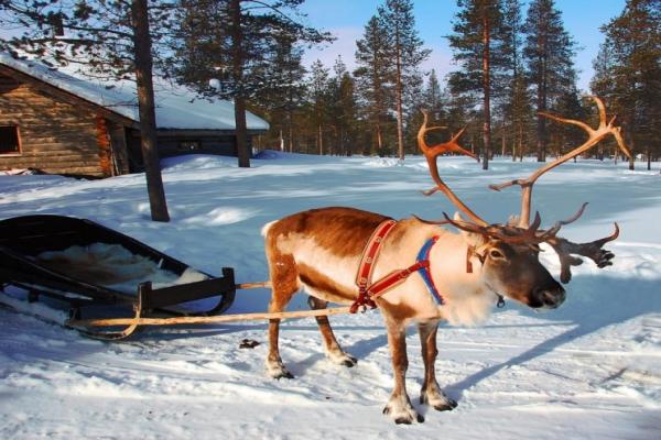 Саариселька фото