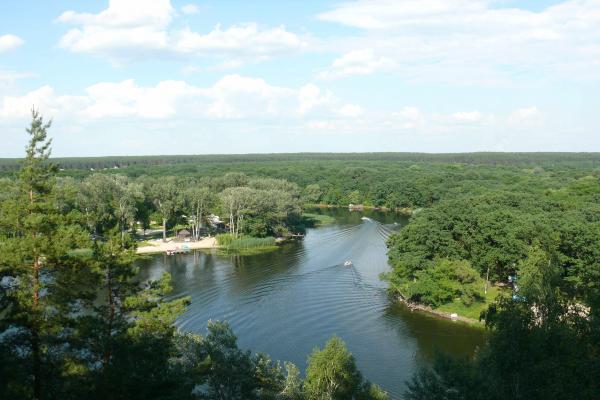 Заповедный парк Гомольшанские леса фото