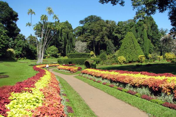 Сады “Чинамон-Гарденс” в Коломбо фото