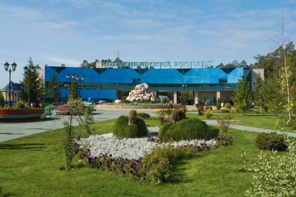 Новосибирский зоопарк фото