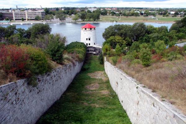 Кингстон фото