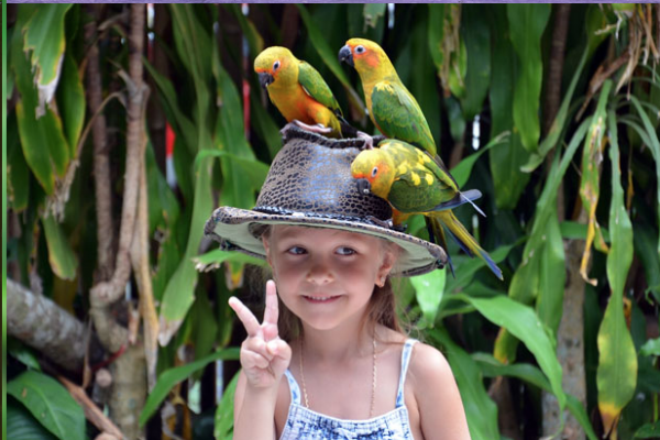 Парк птиц Bird Paradise фото