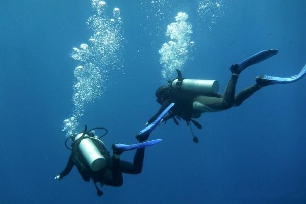 Deep Blue фото
