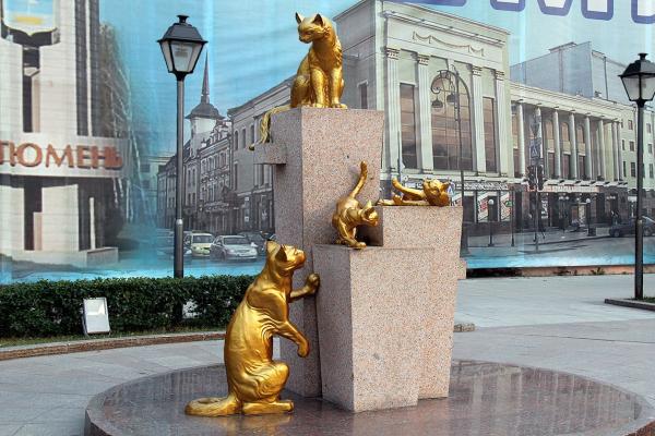 Сквер сибирских кошек фото