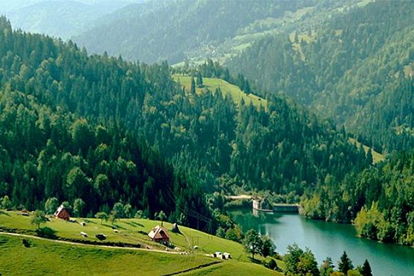 Национальный парк «Фрушка Гора» и Мокра Гора фото