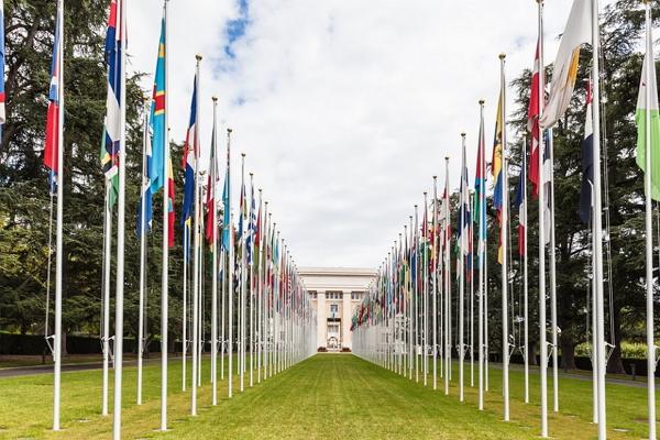 Дворец ООН фото