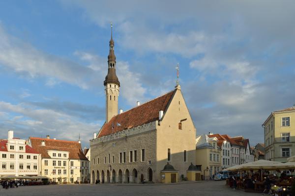 Таллинская ратуша фото