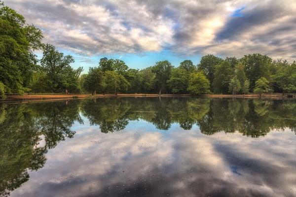 Black Park Lake фото