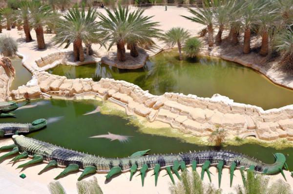 Парк Djerba Explore фото