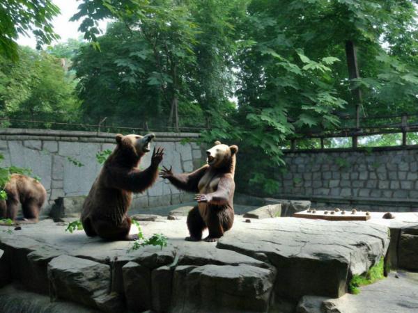Калининградский зоопарк фото