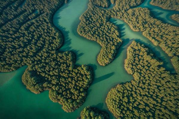 Eastern Mangrove Lagoon National Park фото