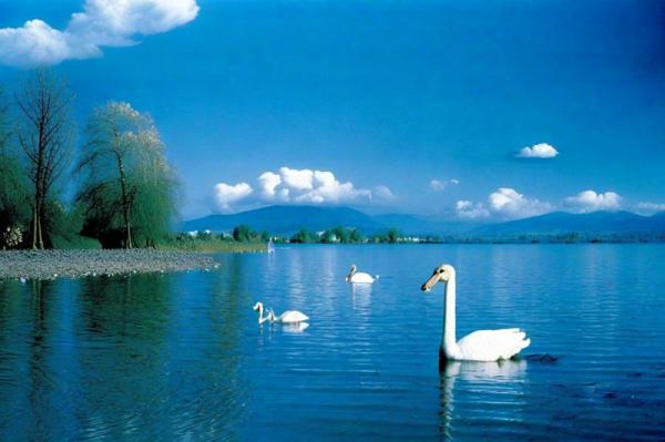 Боденское озеро фото